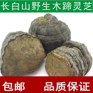 Ұ��ľ���`֥ �R���`֥ �L��ɽľ��ӿ׾� ���]��؛