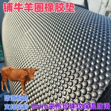 �F؛����y���z�|������ĥ���������|8mm��2�׌���iȦ�ţȦ�؉|