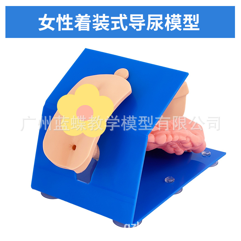 ��Ů��������ֳ�����ʵ���ֱ����ϰģ�ͽ�ѧ��������������ֳϵͳ