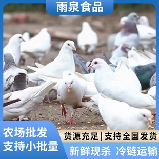 �������r�ɢ�B���r�������������������l���Ƶ����������Ҝ�