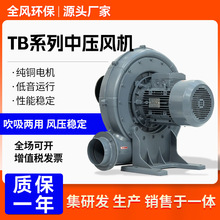 TB系列中压风机 耐高温隔热透浦式风机 吸送高温气体中压风机