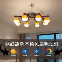 南洋风中古客厅风扇吊灯2025新款复古法式主灯实木大厅设计师灯具