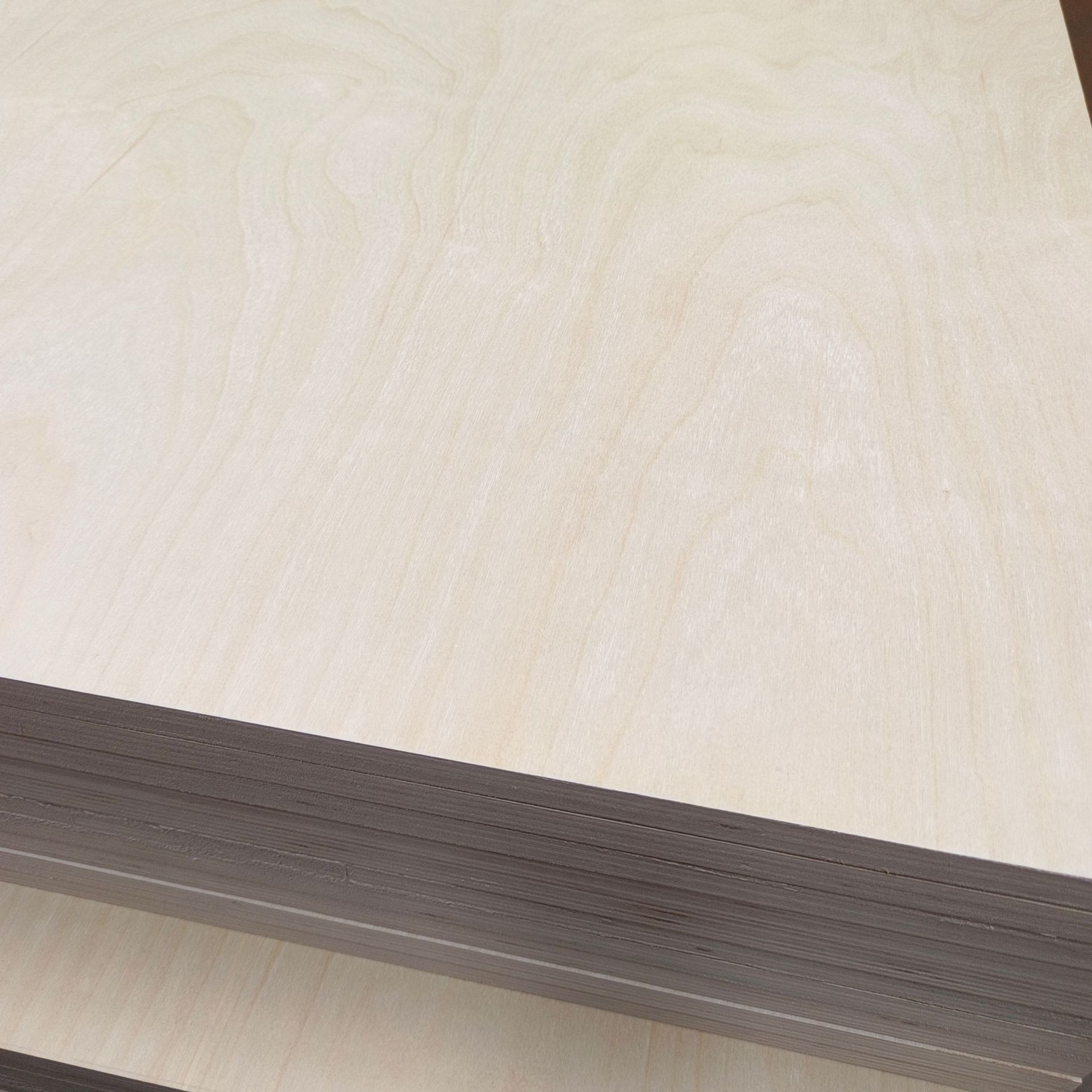 1a188cf6fe17946008180455db6800