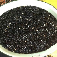 �Ѳ��������S��N�ӬF؛�������Ѱlѿ�ʺ� ���S��N�� ���~�S��