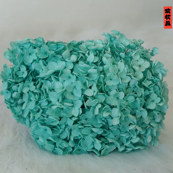 Bean green/support flower head size around 20cm