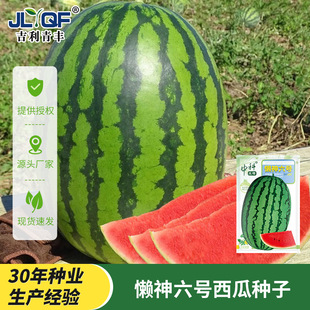 ������̖���ϷN������߮a���ϷN�Ӵ����m���h�����ϷN�ӏS�����l