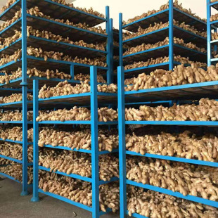 ���ڴ����l�����rɽ�|�����߲˱��r��ɽ�|���½������Ͻ�����