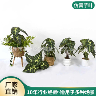 �����ָ����~10�^�����^�~ �W�t���@�̨�k�����^�~ֲ��ҾӔ[��