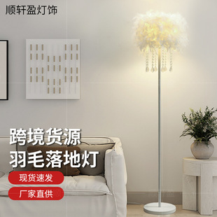 Cross-Border Simple Floor Lamp Living Room Lamp Nordic Style Bedroom Study Feather Lamp Zhongshan Home Decoration Lighting Floor Table Lamp