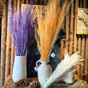 ����������ɻ�С�r��С���ѻ�ˇܛ�b�þ����ջ���diy�Ҿ��b�