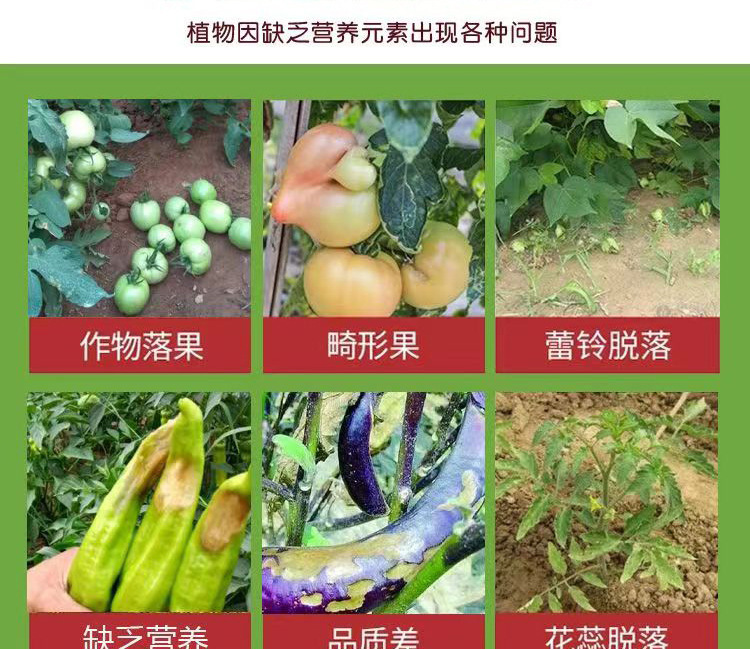 O1CN01P0pxXk2KaUT95EpeI_!!2215