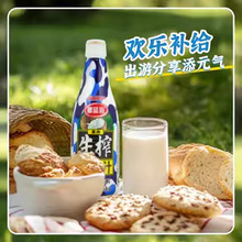 海南生榨果肉椰汁1.25kg大瓶整箱椰子汁椰奶结婚宴会酒席聚餐饮料