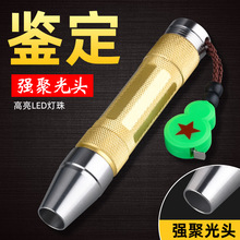 �ӹ����Ə���������Ϟ��������b���� �S�~���|�����b�����Ͳ