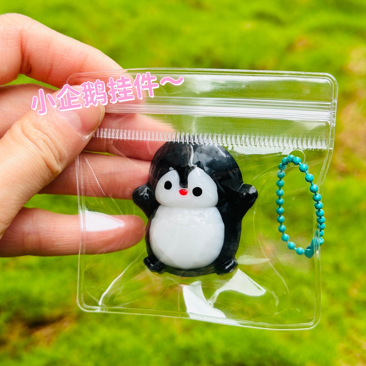 Little penguin with little nose