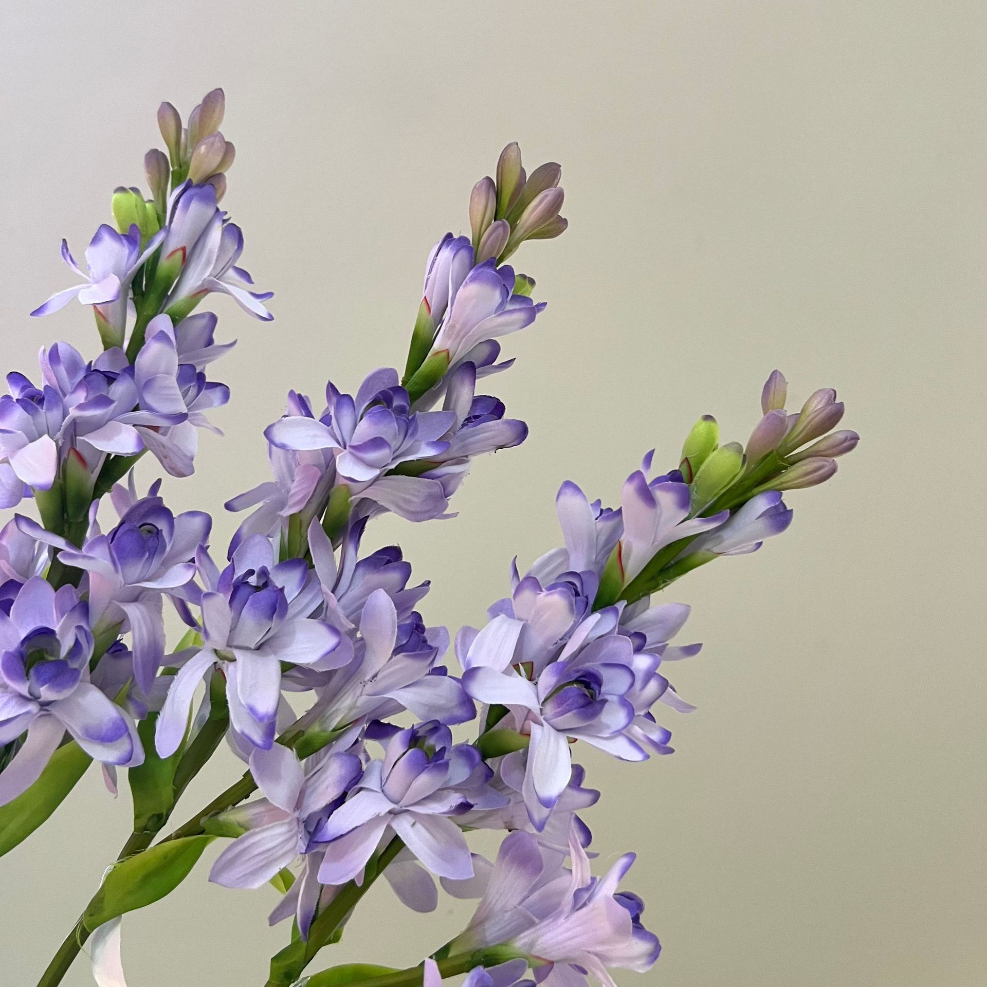 WeChat picture_20240613163356.jpg