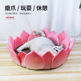 Douyin's Best-Selling Lotus Throne Cat Sofa Cat Exclusive Pet Cushion Good Luck Lotus Plush Futon Pet Supplies