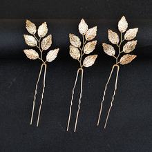 �W���羳 3��һ�M U�ΰl����ᘰl�O ���R�d��ɫ�~�ӱP�l�l���^�