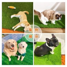 ��������|�ٲ�Ƥ�����ƺ����؈���С���˹���̺�|���l�����