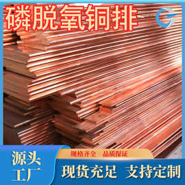 厂家供应TP1紫铜排Tp2脱氧铜排现货速发可切割 各种规格牌号齐全