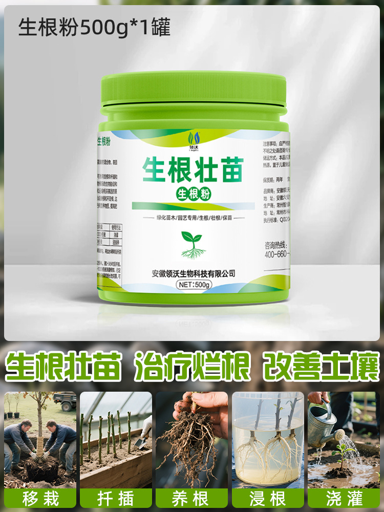 ผงราก500g * 1กระป๋อง