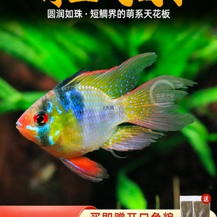 ���m�P�����~���ӌ��{����������_С�͟Ꭷ�^�p�~������wС�~