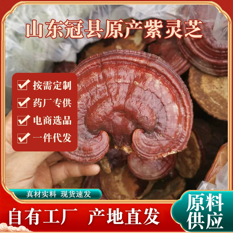 Ultra-fine purple Ganoderma lucidum whole bitter red Ganoderma lucidum extremely fine powder red Ganoderma lucidum diced Ganoderma lucidum slices gift box boiled in water and soup natural