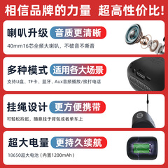 HP HP S01 Wireless Bluetooth Speaker Home Outdoor Mini Large Volume Subwoofer Card U Disk Portable Gift