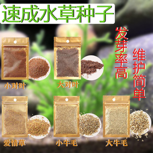 Factory Wholesale Instant Grass Seeds Fish Tank Landscaping Aquatic Grass Seeds Cow Hair Opposite Leaf Grass Seeds Grass Seeds Love Grass Seeds