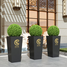 ���s�����Fˇ�����̘I�־��^��[�����e��ͥԺ���@���w�Gֲ����