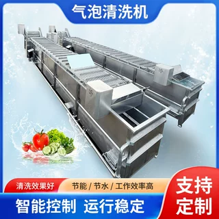 叶菜气泡清洗机 胡萝卜土豆去泥清洗设备 海鲜高压喷淋清洗机