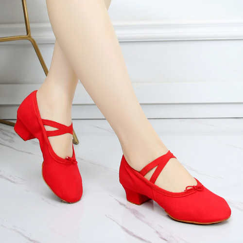 Bodybuilding teacher shoes soft sole ballerina belly folk dance yoga performance with heel practice dance shoes wholesale