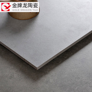 Guangdong ceramic tile kitchen bathroom cement gray 600x 600 floor tile terrazzo meal living room matte antique tile