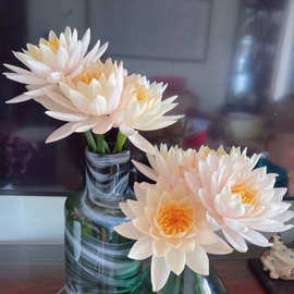 睡莲鲜花真花批发百合玫瑰花束办公室内家用水养插花水培鲜花速递