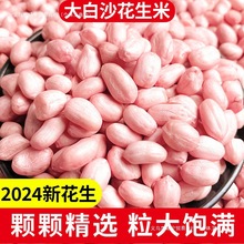 生花生米商用批发价白沙红皮花生米生本地高产花生种籽子油炸水煮