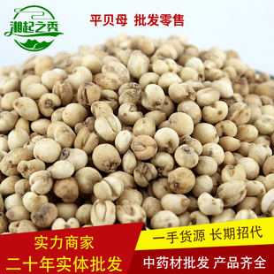 ��ș�����lؐĸ ��ؐ��؛���б�����ؐ��ؐСƽؐ��ؐĸ ����r��