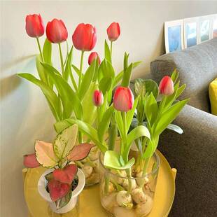 ��10�w�������N��ˮ��Gֲ���������������������r���҃ȾGֲ