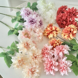 �羳4�^�����������շ��滨��c�쾰�Ҿ��b[���ٻ�ˇ�Ĕz����