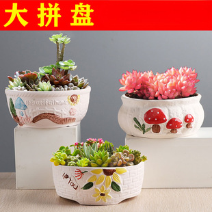 ��ڏ����⻨���մɴ��躆�s������ն���ֲ��ƴ�P�M�ϻ���