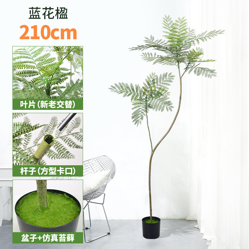 蓝花楹仿真绿植落地盆栽仿生植物摆件室内客厅沙发旁装饰盆景假树|undefined