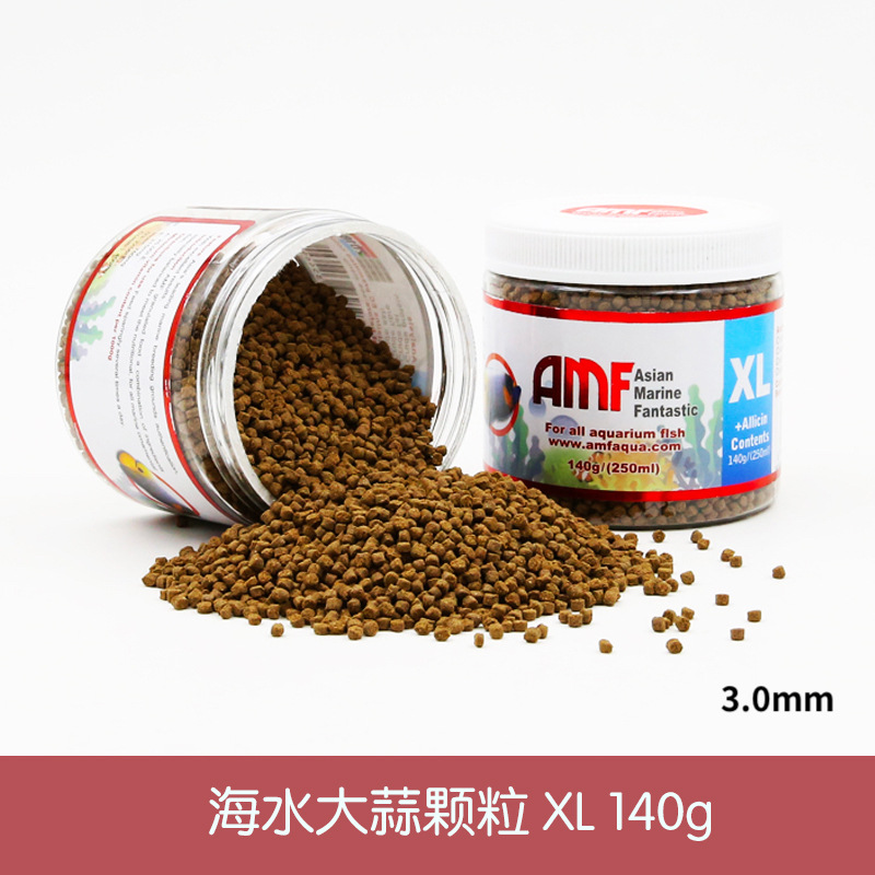 E 8-海水ニンニク140g 2.5-2.8mm (xl号)
