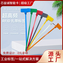 自锁式仓储物流防盗塑料uhf超高频rfid扎带电子标签RFID智能卡