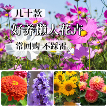 lݷN۹șɻСrNޱ̫ꖻĵܽM