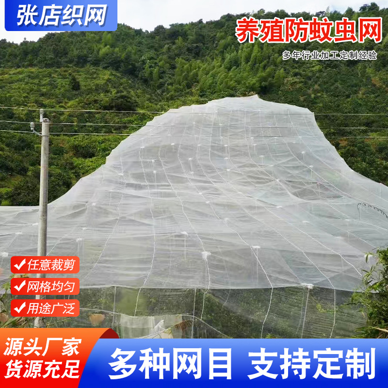 大棚防虫网农用养殖网猪场防蚊网蔬菜防虫网蝗虫果树果园防虫网纱