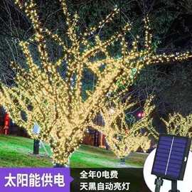 LED太阳能灯串户外花园庭院装饰工程亮化防水小彩灯大量批发