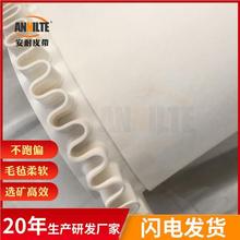 矿选毛毯机输送带 灰色白色毛毡传送带 无缝耐高温毛毡输送带厂家