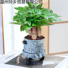 ֲ҃kҺBGֲˮСԿ͏d辰ļi