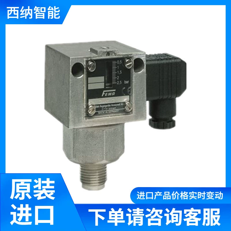 DWR-205 ограничителя давления FEMA