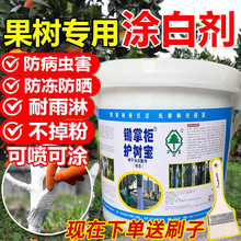 ��ľ��ɉT�ׄ����ˢ�׈@���辰��U������x������������ʯ�ҷ�