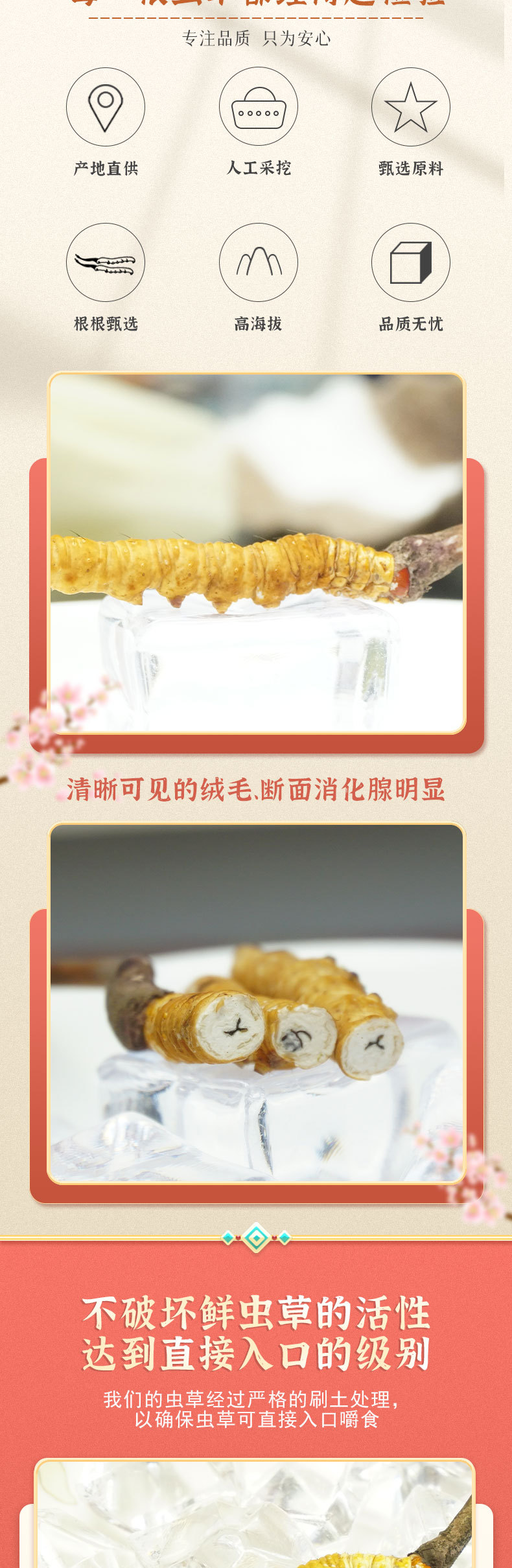 详情_03.jpg