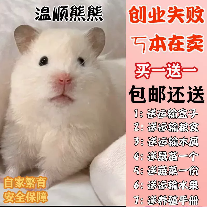 [Translated content would depend on meaning of the Chinese characters]
